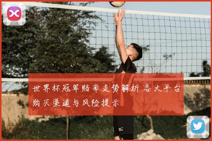 世界杯冠军赔率走势解析 各大平台购买渠道与风险提示