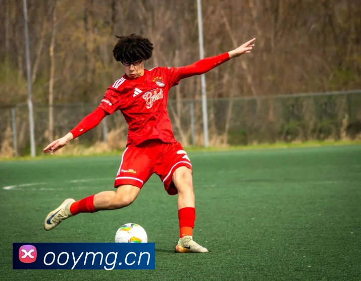 bsports网页版在线登录APP 封面图
