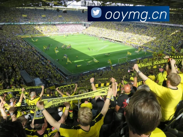 九游·网站官方站入口 - Jiuyou j9(中国)全站App